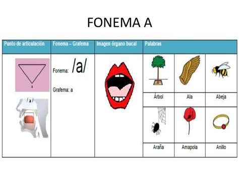 fonema esempio.
